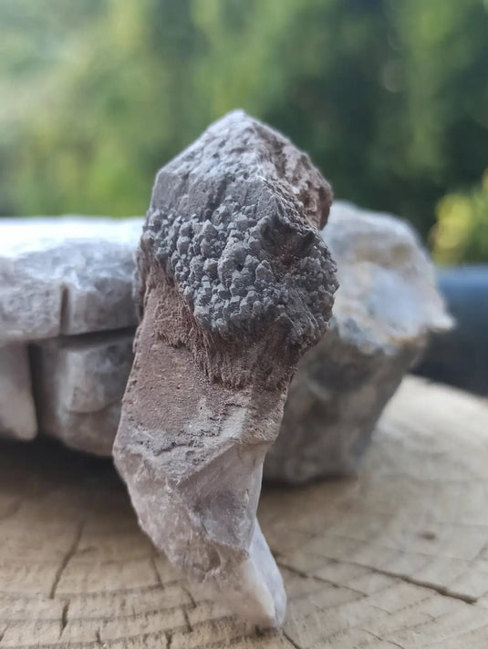 Quartz sceptre céleste du Brésil pointe brute Grade A++++ ’RARE’ Quartz sceptre céleste du Brésil pointe brute