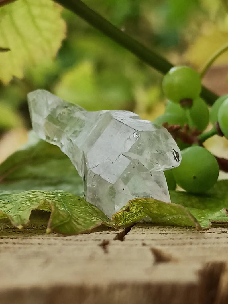 Chargez l&#39;image dans la visionneuse de la galerie, Quartz Sceptre Himalaya pointe brute Grade A++++ ’RARE’ Quartz Sceptre Himalaya
