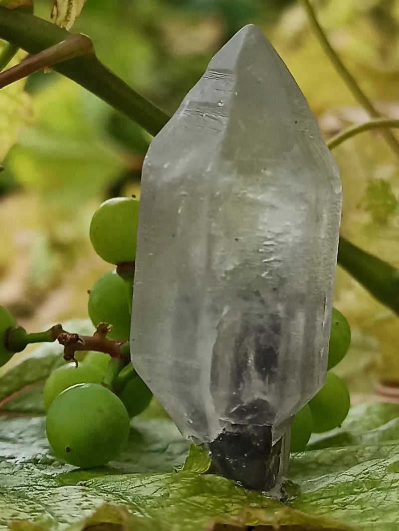 Chargez l'image dans la visionneuse de la galerie, Quartz Sceptre Himalaya pointe brute Grade A++++ ’RARE’ Quartz Sceptre Himalaya

