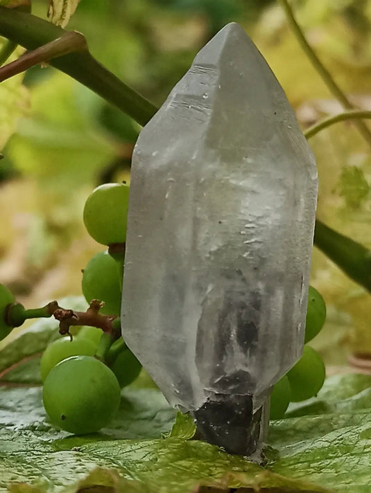 Quartz Sceptre Himalaya pointe brute Grade A++++ ’RARE’ Quartz Sceptre Himalaya