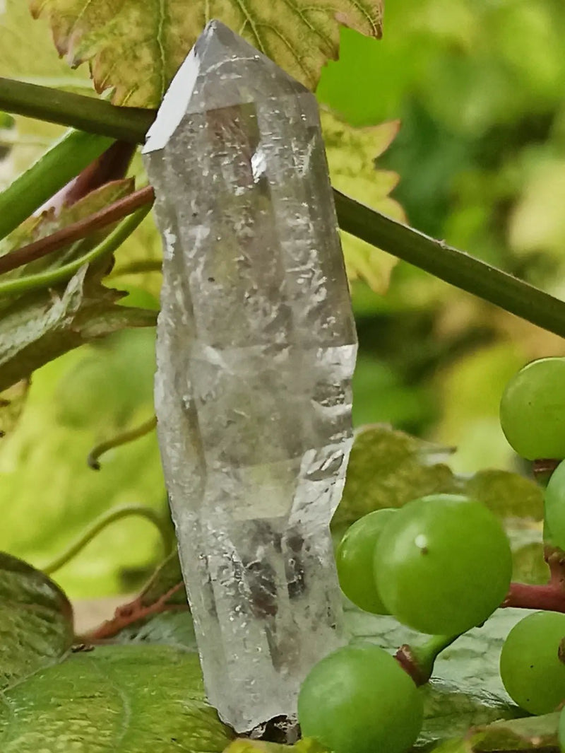 Chargez l&#39;image dans la visionneuse de la galerie, Quartz Sceptre Himalaya pointe brute Grade A++++ ’RARE’ Quartz Sceptre Himalaya
