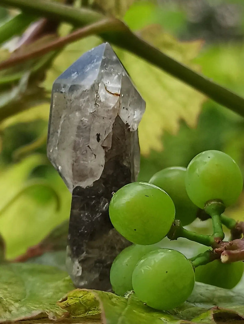 Chargez l&#39;image dans la visionneuse de la galerie, Quartz Sceptre Himalaya pointe brute Grade A++++ ’RARE’ Quartz Sceptre Himalaya
