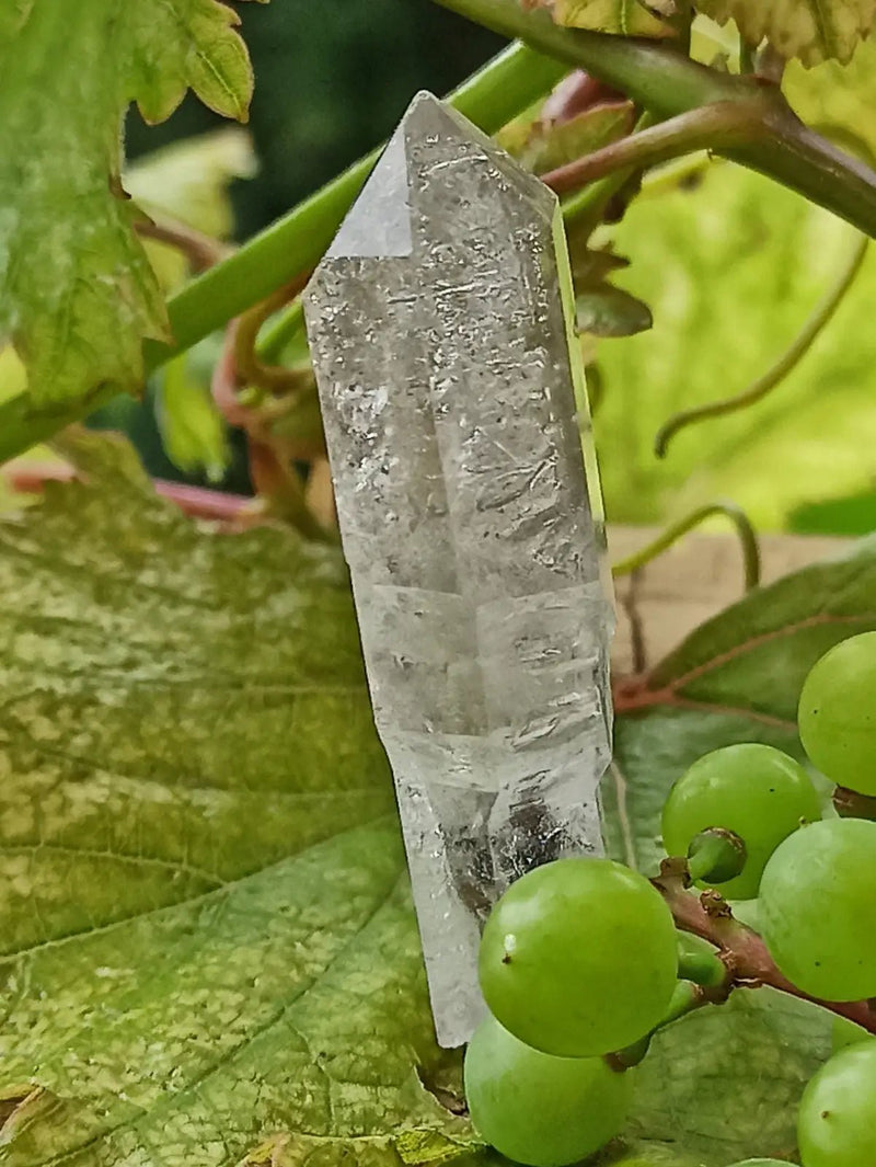 Chargez l&#39;image dans la visionneuse de la galerie, Quartz Sceptre Himalaya pointe brute Grade A++++ ’RARE’ Quartz Sceptre Himalaya
