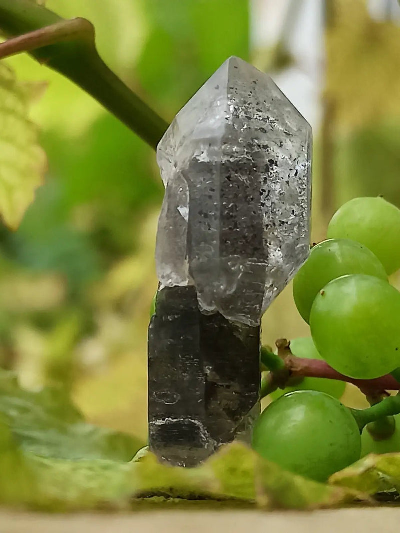 Chargez l&#39;image dans la visionneuse de la galerie, Quartz Sceptre Himalaya pointe brute Grade A++++ ’RARE’ Quartz Sceptre Himalaya
