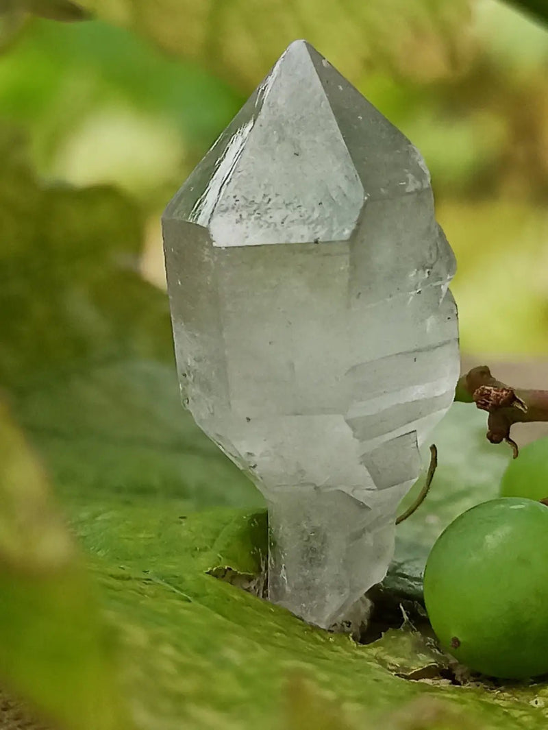 Chargez l&#39;image dans la visionneuse de la galerie, Quartz Sceptre Himalaya pointe brute Grade A++++ ’RARE’ Quartz Sceptre Himalaya
