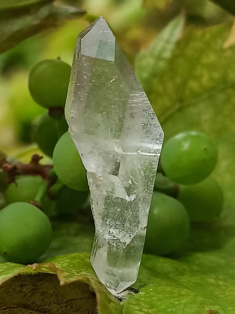 Load image into Gallery viewer, Quartz Sceptre Himalaya pointe brute Grade A++++ ’RARE’ Quartz Sceptre Himalaya
