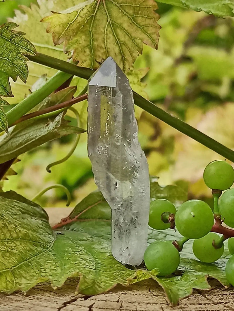 Chargez l&#39;image dans la visionneuse de la galerie, Quartz Sceptre Himalaya pointe brute Grade A++++ ’RARE’ Quartz Sceptre Himalaya
