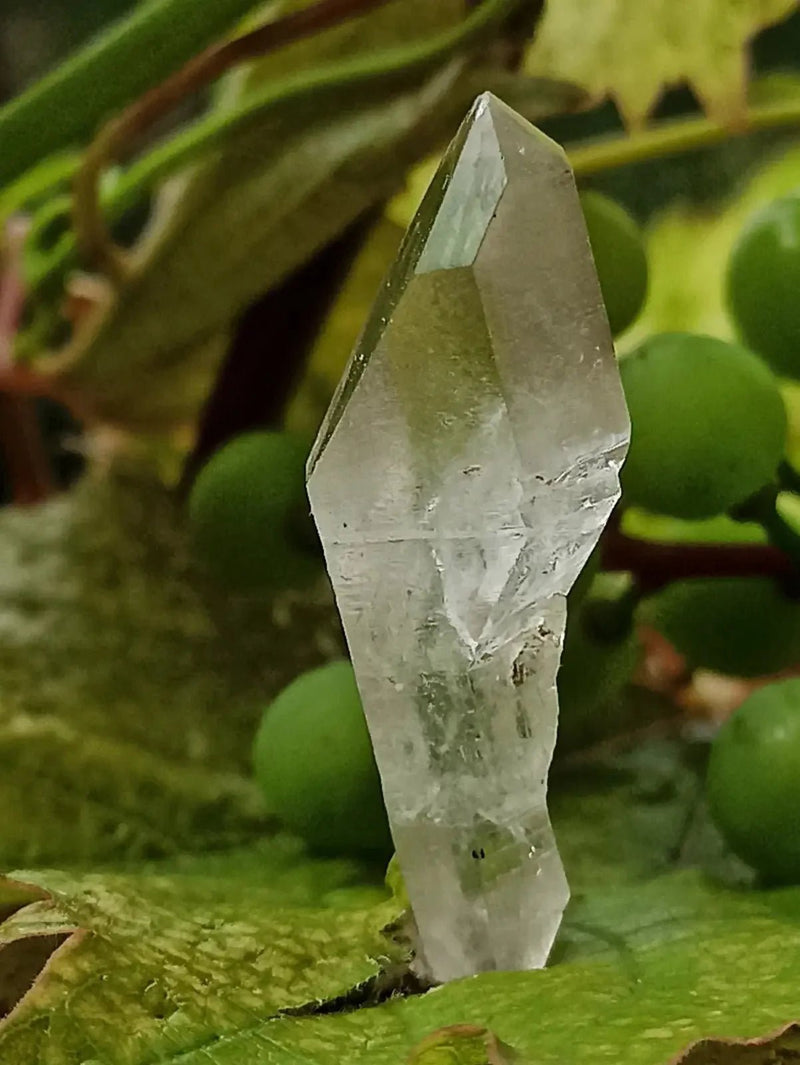 Load image into Gallery viewer, Quartz Sceptre Himalaya pointe brute Grade A++++ ’RARE’ Quartz Sceptre Himalaya
