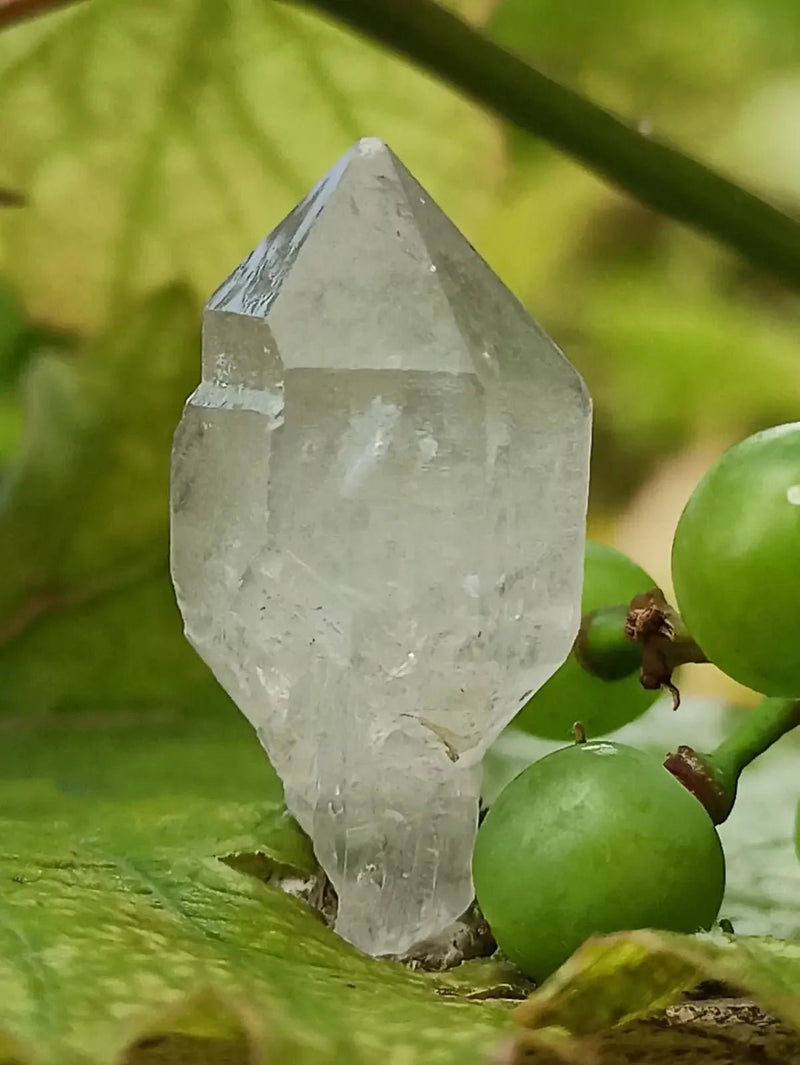 Chargez l&#39;image dans la visionneuse de la galerie, Quartz Sceptre Himalaya pointe brute Grade A++++ ’RARE’ Quartz Sceptre Himalaya
