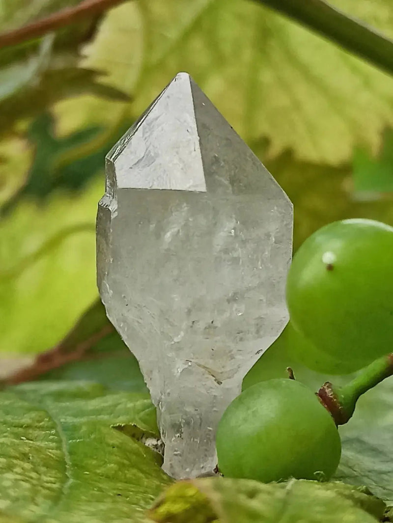 Chargez l&#39;image dans la visionneuse de la galerie, Quartz Sceptre Himalaya pointe brute Grade A++++ ’RARE’ Quartz Sceptre Himalaya
