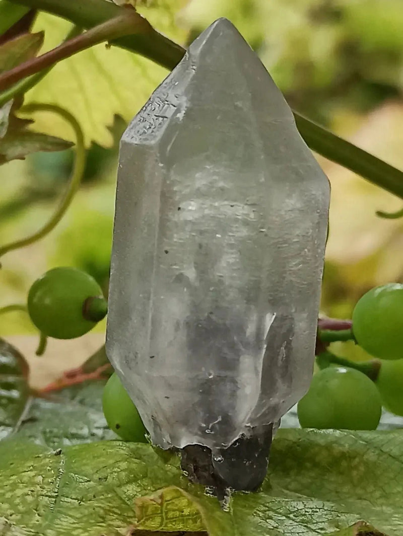 Chargez l'image dans la visionneuse de la galerie, Quartz Sceptre Himalaya pointe brute Grade A++++ ’RARE’ Quartz Sceptre Himalaya
