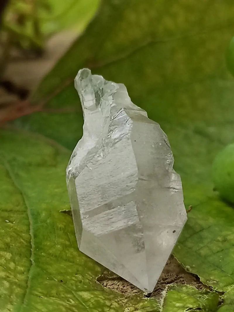 Chargez l&#39;image dans la visionneuse de la galerie, Quartz Sceptre Himalaya pointe brute Grade A++++ ’RARE’ Quartz Sceptre Himalaya

