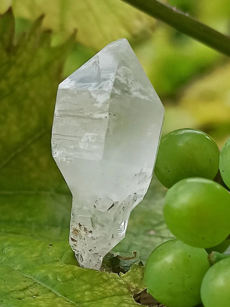 Chargez l&#39;image dans la visionneuse de la galerie, Quartz Sceptre Himalaya pointe brute Grade A++++ ’RARE’ Quartz Sceptre Himalaya
