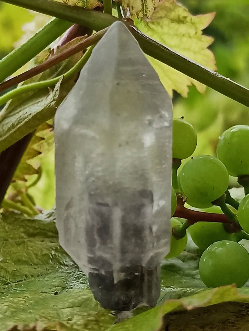 Chargez l'image dans la visionneuse de la galerie, Quartz Sceptre Himalaya pointe brute Grade A++++ ’RARE’ Quartz Sceptre Himalaya
