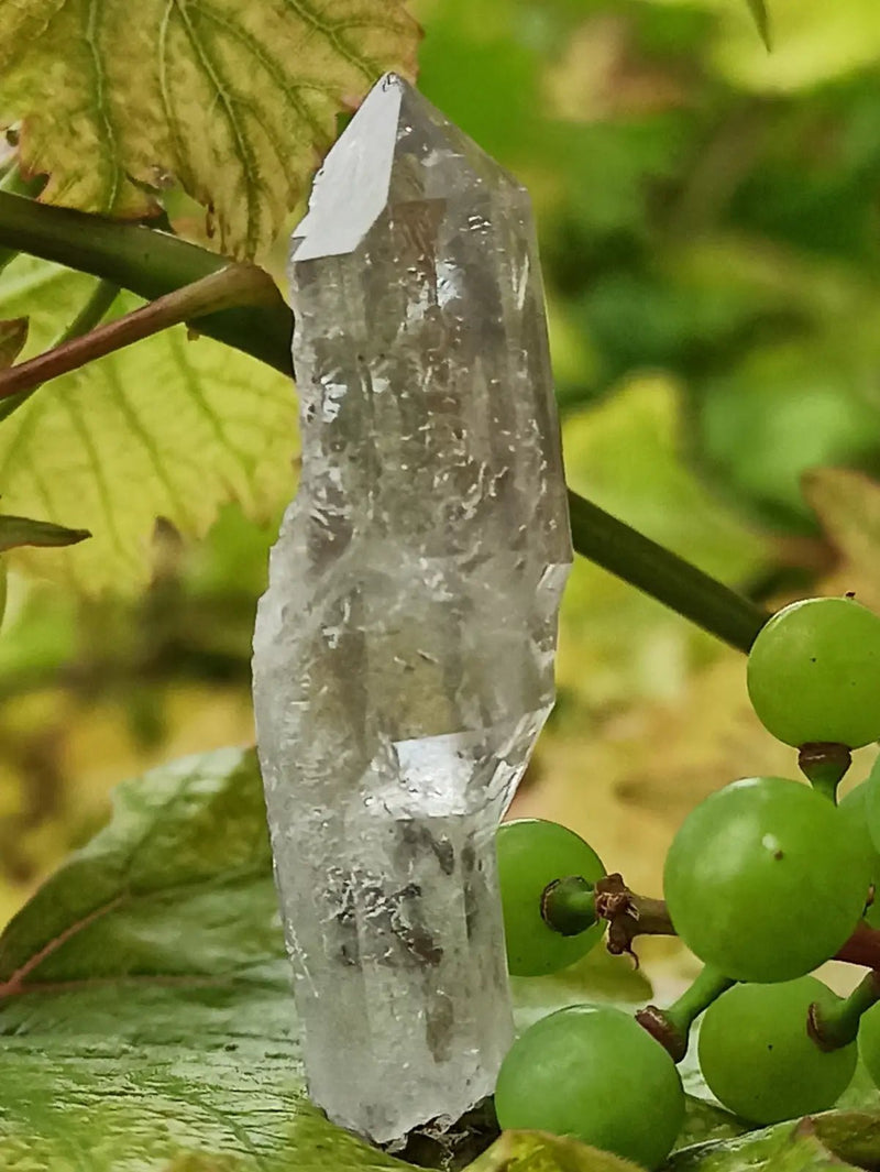 Chargez l&#39;image dans la visionneuse de la galerie, Quartz Sceptre Himalaya pointe brute Grade A++++ ’RARE’ Quartz Sceptre Himalaya
