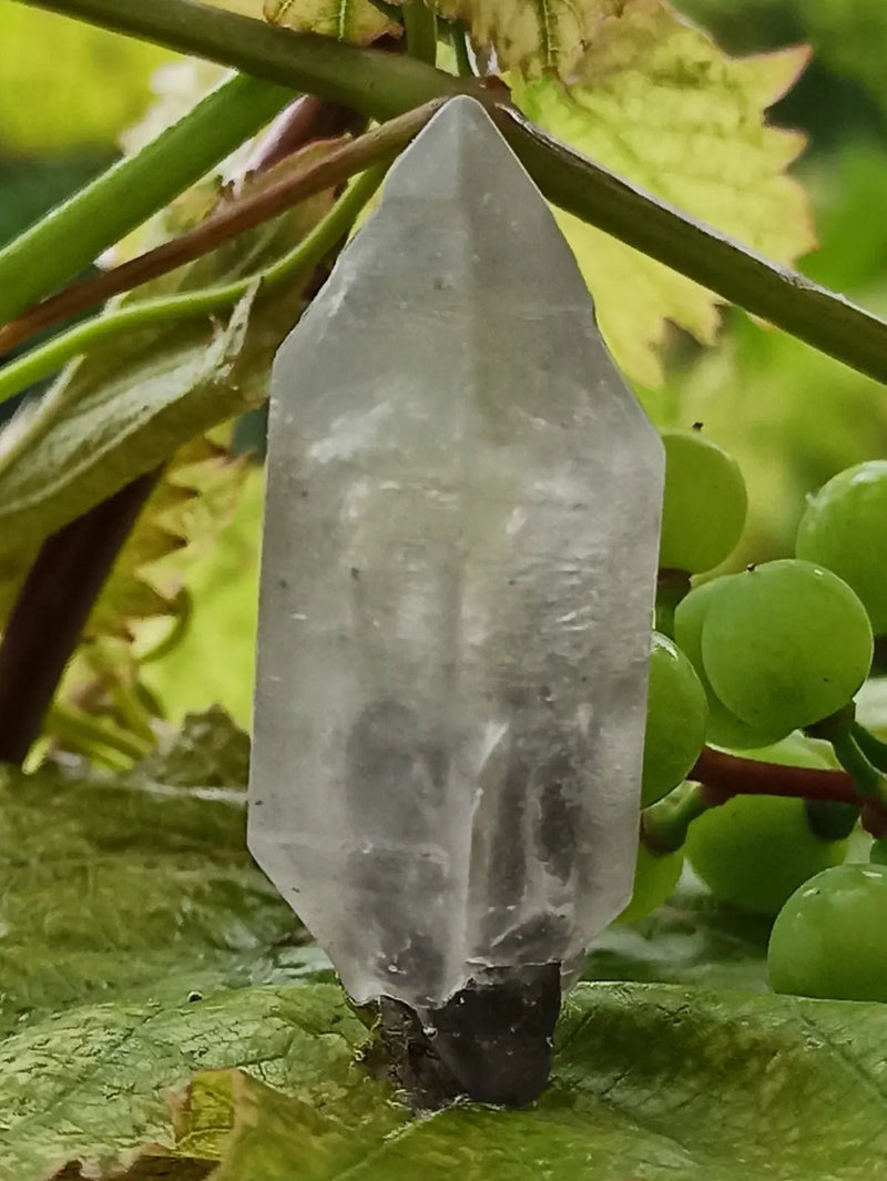 Chargez l'image dans la visionneuse de la galerie, Quartz Sceptre Himalaya pointe brute Grade A++++ ’RARE’ Quartz Sceptre Himalaya
