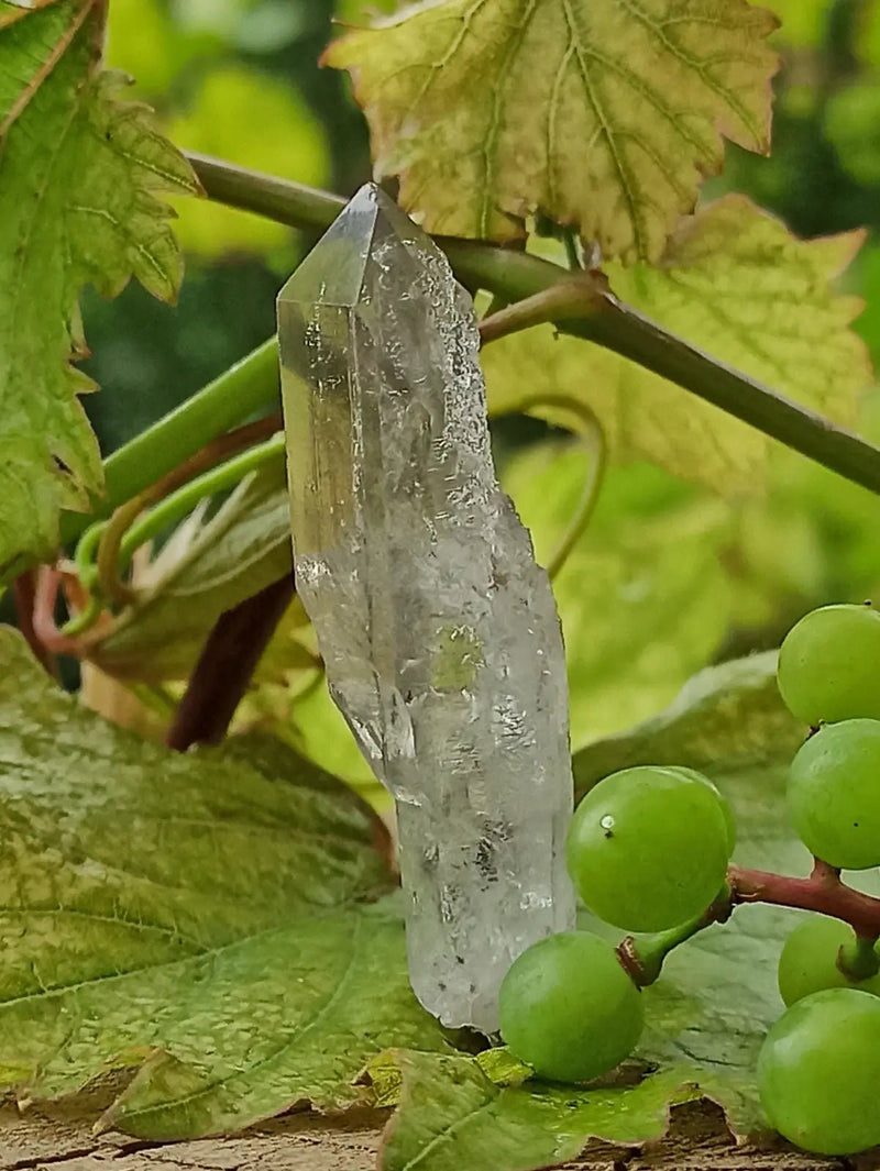 Chargez l&#39;image dans la visionneuse de la galerie, Quartz Sceptre Himalaya pointe brute Grade A++++ ’RARE’ Quartz Sceptre Himalaya
