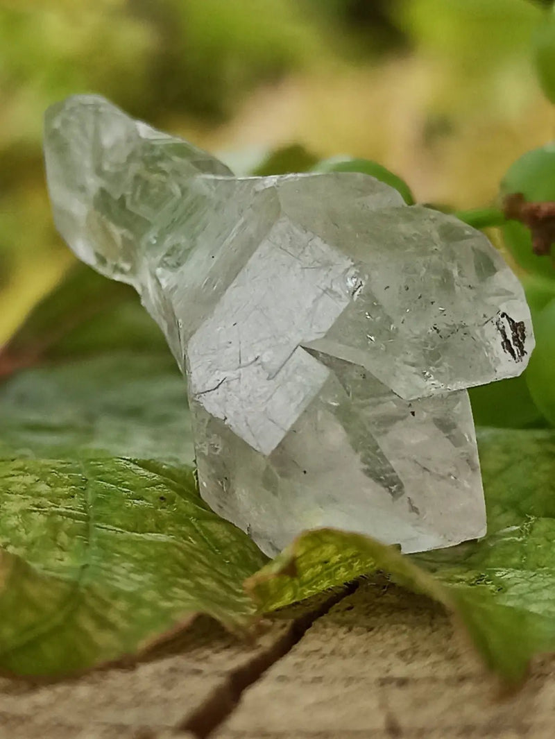 Chargez l&#39;image dans la visionneuse de la galerie, Quartz Sceptre Himalaya pointe brute Grade A++++ ’RARE’ Quartz Sceptre Himalaya
