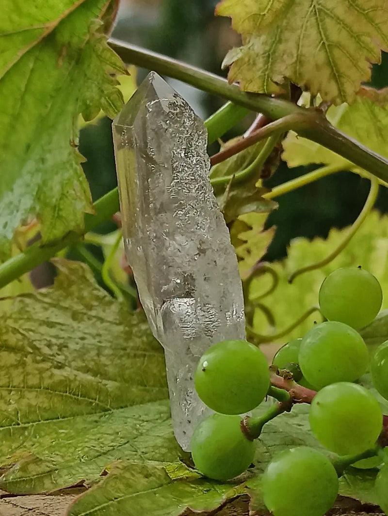 Chargez l&#39;image dans la visionneuse de la galerie, Quartz Sceptre Himalaya pointe brute Grade A++++ ’RARE’ Quartz Sceptre Himalaya
