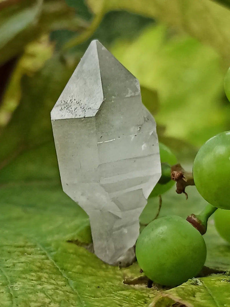 Chargez l&#39;image dans la visionneuse de la galerie, Quartz Sceptre Himalaya pointe brute Grade A++++ ’RARE’ Quartz Sceptre Himalaya
