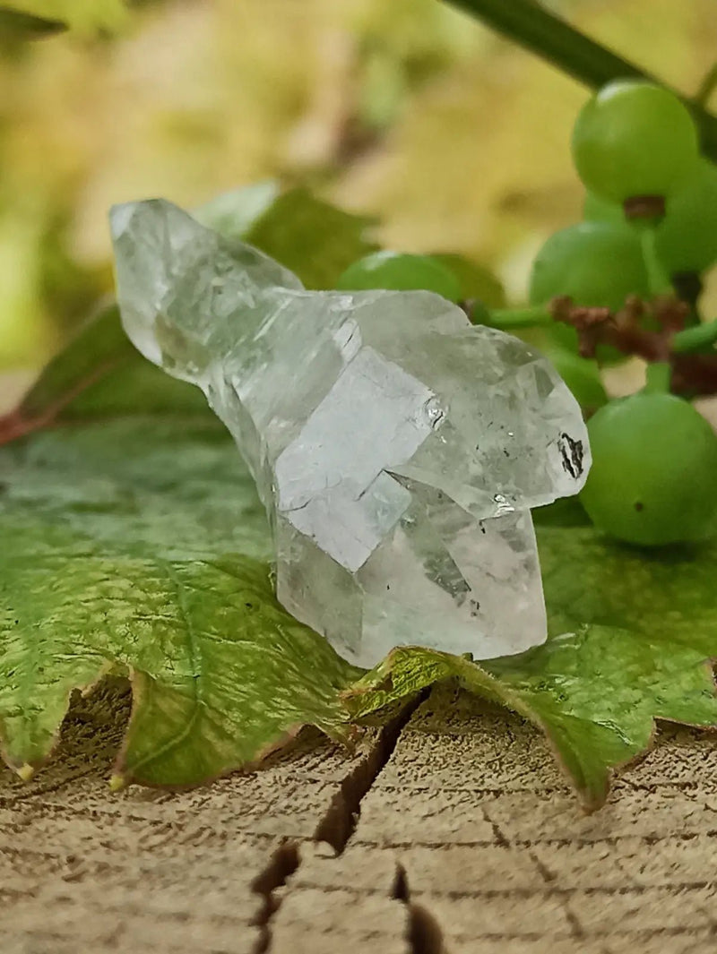 Chargez l&#39;image dans la visionneuse de la galerie, Quartz Sceptre Himalaya pointe brute Grade A++++ ’RARE’ Quartz Sceptre Himalaya
