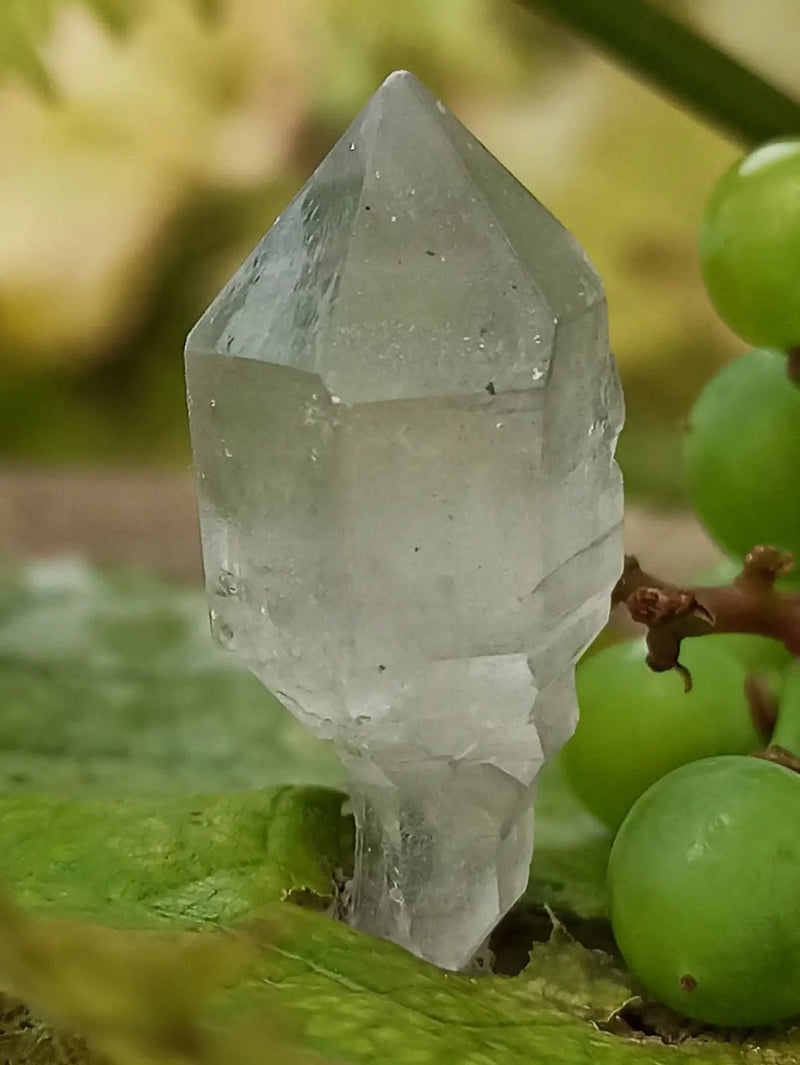 Chargez l&#39;image dans la visionneuse de la galerie, Quartz Sceptre Himalaya pointe brute Grade A++++ ’RARE’ Quartz Sceptre Himalaya
