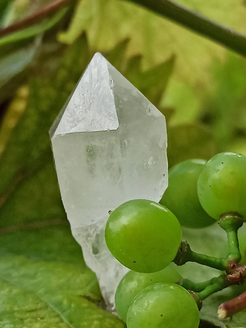 Chargez l&#39;image dans la visionneuse de la galerie, Quartz Sceptre Himalaya pointe brute Grade A++++ ’RARE’ Quartz Sceptre Himalaya
