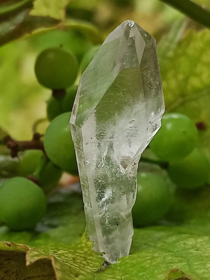 Load image into Gallery viewer, Quartz Sceptre Himalaya pointe brute Grade A++++ ’RARE’ Quartz Sceptre Himalaya
