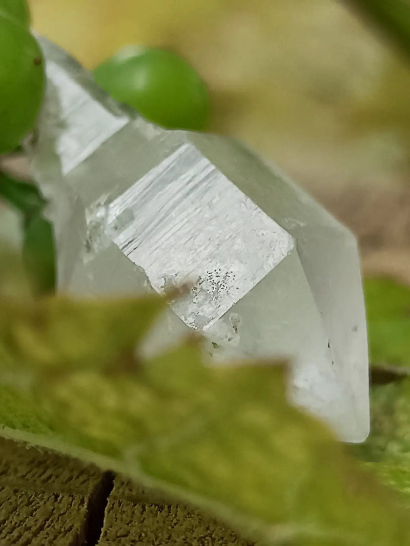 Chargez l&#39;image dans la visionneuse de la galerie, Quartz Sceptre Himalaya pointe brute Grade A++++ ’RARE’ Quartz Sceptre Himalaya
