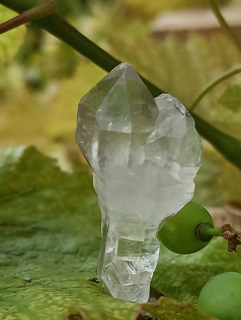 Chargez l&#39;image dans la visionneuse de la galerie, Quartz Sceptre Himalaya pointe brute Grade A++++ ’RARE’ Quartz Sceptre Himalaya
