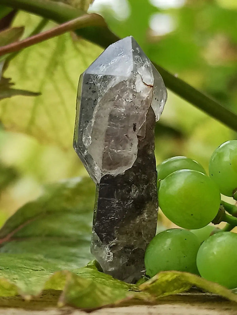 Chargez l&#39;image dans la visionneuse de la galerie, Quartz Sceptre Himalaya pointe brute Grade A++++ ’RARE’ Quartz Sceptre Himalaya
