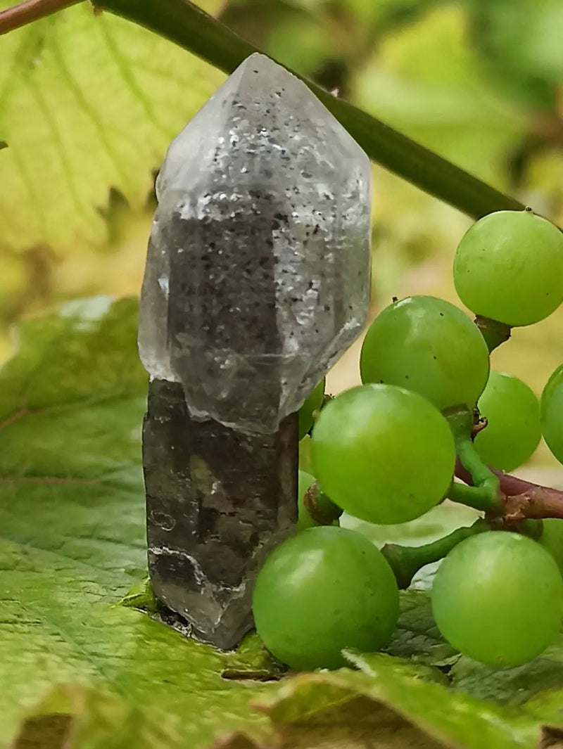 Chargez l&#39;image dans la visionneuse de la galerie, Quartz Sceptre Himalaya pointe brute Grade A++++ ’RARE’ Quartz Sceptre Himalaya
