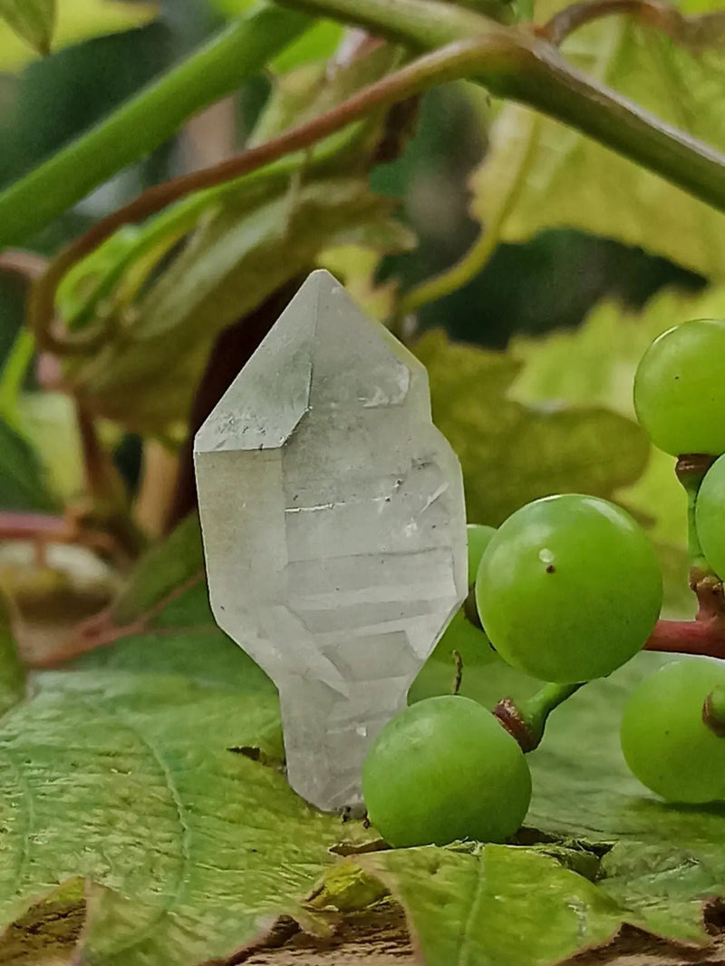 Chargez l&#39;image dans la visionneuse de la galerie, Quartz Sceptre Himalaya pointe brute Grade A++++ ’RARE’ Quartz Sceptre Himalaya
