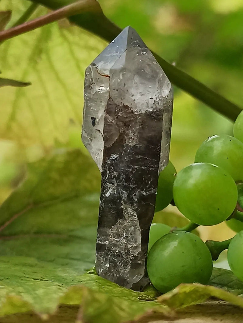 Chargez l&#39;image dans la visionneuse de la galerie, Quartz Sceptre Himalaya pointe brute Grade A++++ ’RARE’ Quartz Sceptre Himalaya
