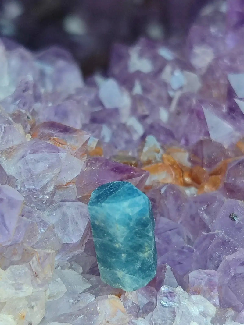 Chargez l&#39;image dans la visionneuse de la galerie, Saphir bleu du Sri Lanka - Pierre brute - Grade Prémium - Pierre de Clarté et d’Intuition Saphir bleu du Sri Lanka
