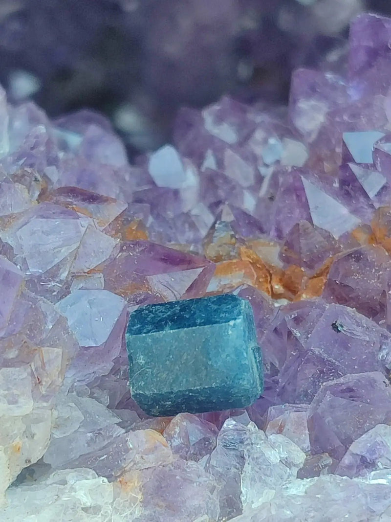 Chargez l&#39;image dans la visionneuse de la galerie, Saphir bleu du Sri Lanka - Pierre brute - Grade Prémium - Pierre de Clarté et d’Intuition Saphir bleu du Sri Lanka
