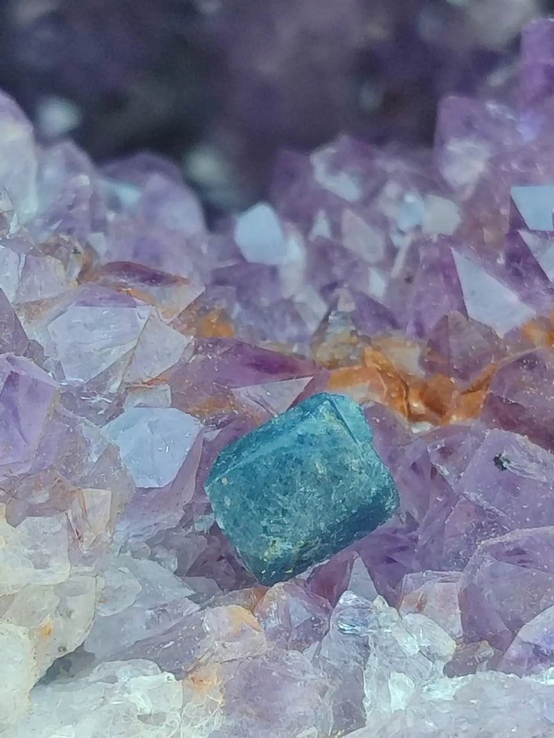 Chargez l&#39;image dans la visionneuse de la galerie, Saphir bleu du Sri Lanka - Pierre brute - Grade Prémium - Pierre de Clarté et d’Intuition Saphir bleu du Sri Lanka
