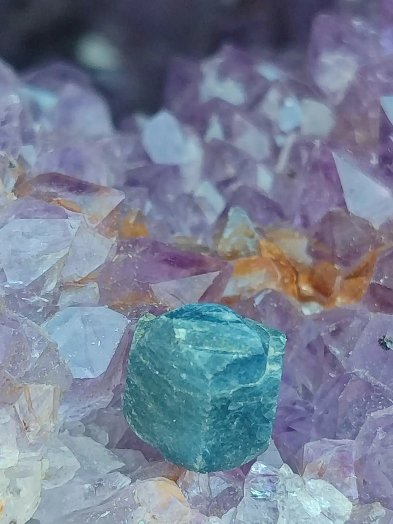 Chargez l&#39;image dans la visionneuse de la galerie, Saphir bleu du Sri Lanka - Pierre brute - Grade Prémium - Pierre de Clarté et d’Intuition Saphir bleu du Sri Lanka
