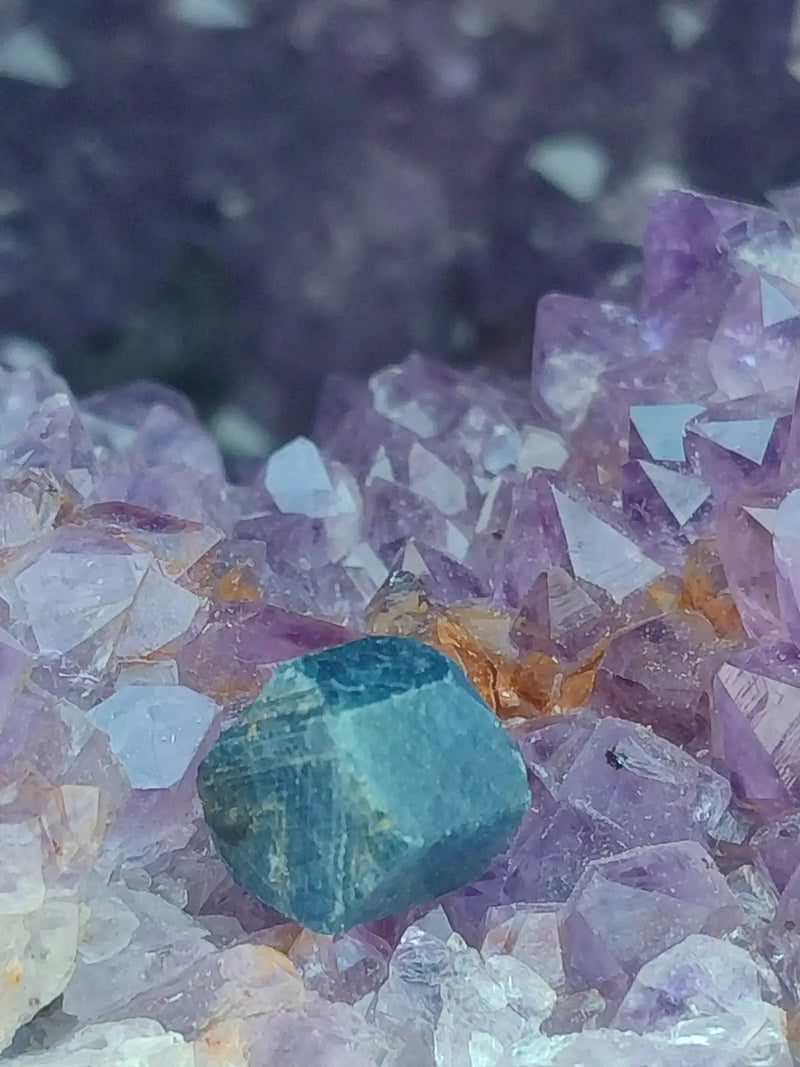 Chargez l&#39;image dans la visionneuse de la galerie, Saphir bleu du Sri Lanka - Pierre brute - Grade Prémium - Pierre de Clarté et d’Intuition Saphir bleu du Sri Lanka
