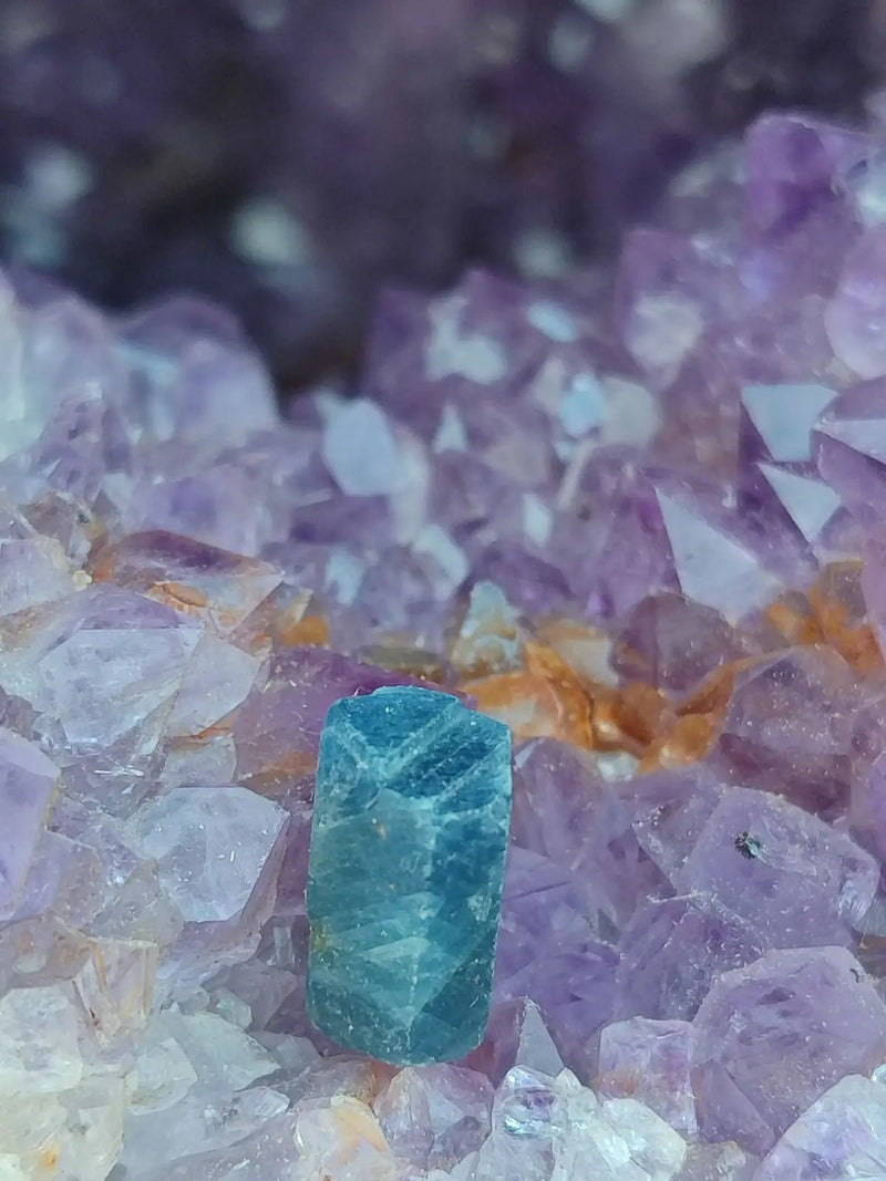 Chargez l&#39;image dans la visionneuse de la galerie, Saphir bleu du Sri Lanka - Pierre brute - Grade Prémium - Pierre de Clarté et d’Intuition Saphir bleu du Sri Lanka
