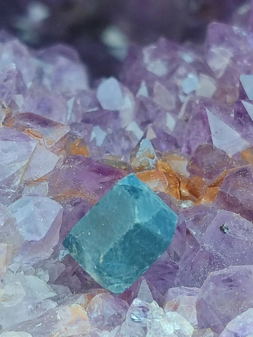 Saphir bleu du Sri Lanka - Pierre brute - Grade Prémium - Pierre de Clarté et d’Intuition Saphir bleu du Sri Lanka