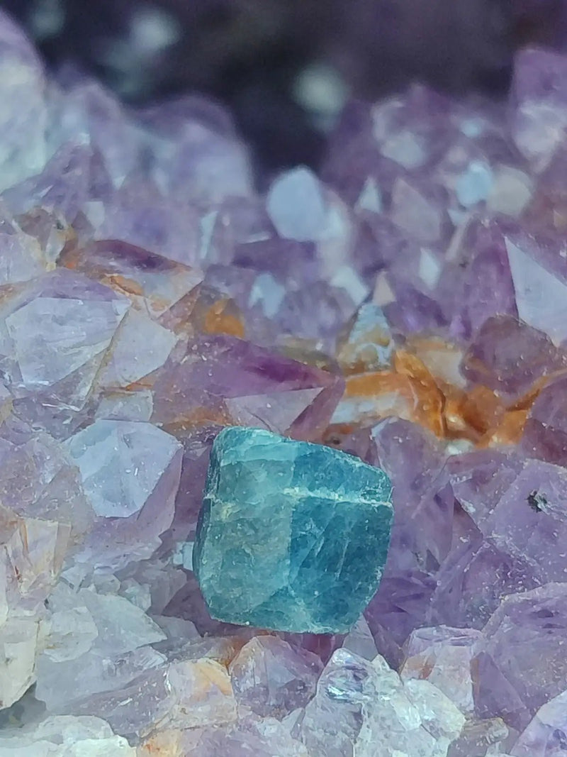 Chargez l&#39;image dans la visionneuse de la galerie, Saphir bleu du Sri Lanka - Pierre brute - Grade Prémium - Pierre de Clarté et d’Intuition Saphir bleu du Sri Lanka
