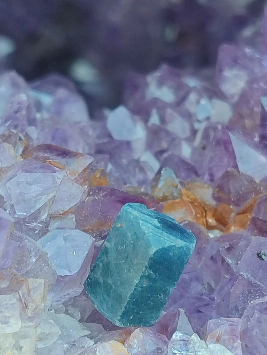 Saphir bleu du Sri Lanka - Pierre brute - Grade Prémium - Pierre de Clarté et d’Intuition Saphir bleu du Sri Lanka