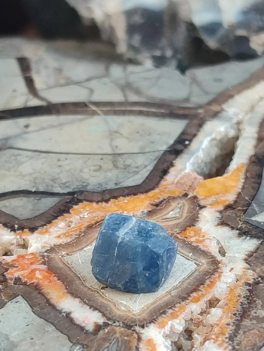 Saphir bleu du Sri Lanka - Pierre brute - Grade Prémium - Pierre de Clarté et d’Intuition Saphir bleu du Sri Lanka