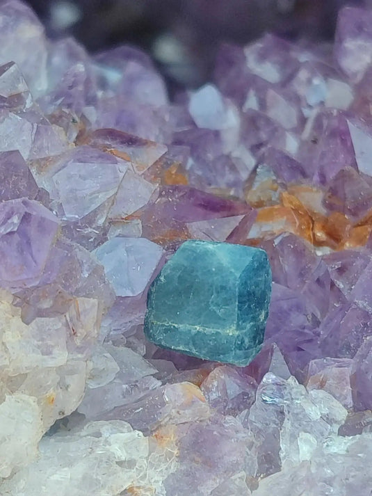 Saphir bleu du Sri Lanka - Pierre brute - Grade Prémium - Pierre de Clarté et d’Intuition Saphir bleu du Sri Lanka