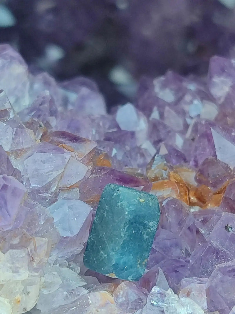 Chargez l&#39;image dans la visionneuse de la galerie, Saphir bleu du Sri Lanka - Pierre brute - Grade Prémium - Pierre de Clarté et d’Intuition Saphir bleu du Sri Lanka
