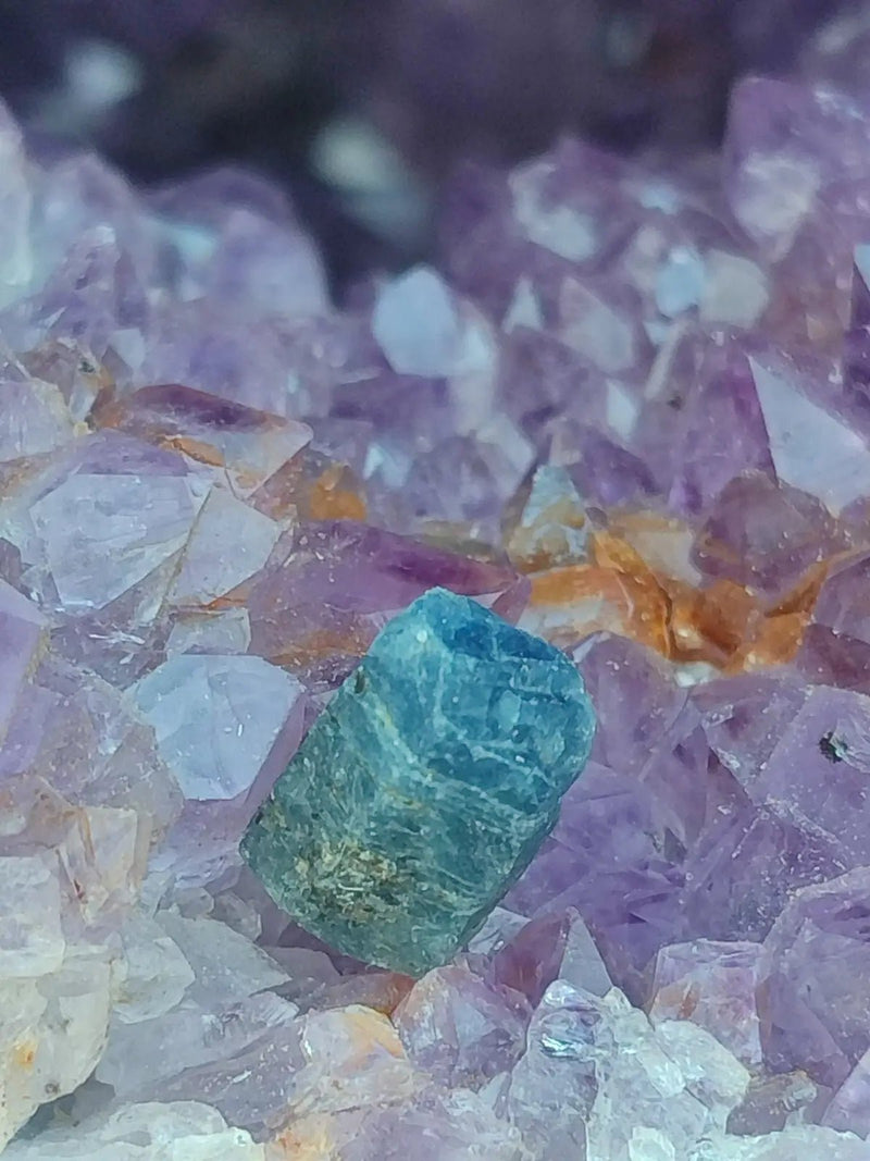 Load image into Gallery viewer, Saphir bleu du Sri Lanka - Pierre brute - Grade Prémium - Pierre de Clarté et d’Intuition Saphir bleu du Sri Lanka
