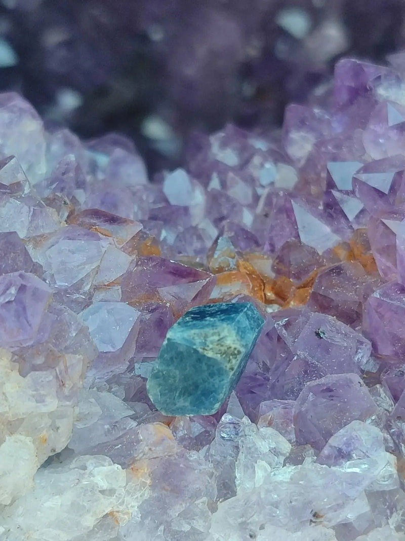 Load image into Gallery viewer, Saphir bleu du Sri Lanka - Pierre brute - Grade Prémium - Pierre de Clarté et d’Intuition Saphir bleu du Sri Lanka
