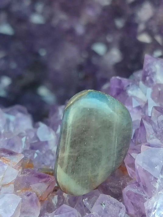 Saphir bleu du Sri Lanka - Pierre roulée - Grade Prémium - Pierre de Clarté et d’Intuition Saphir bleu du Sri Lanka