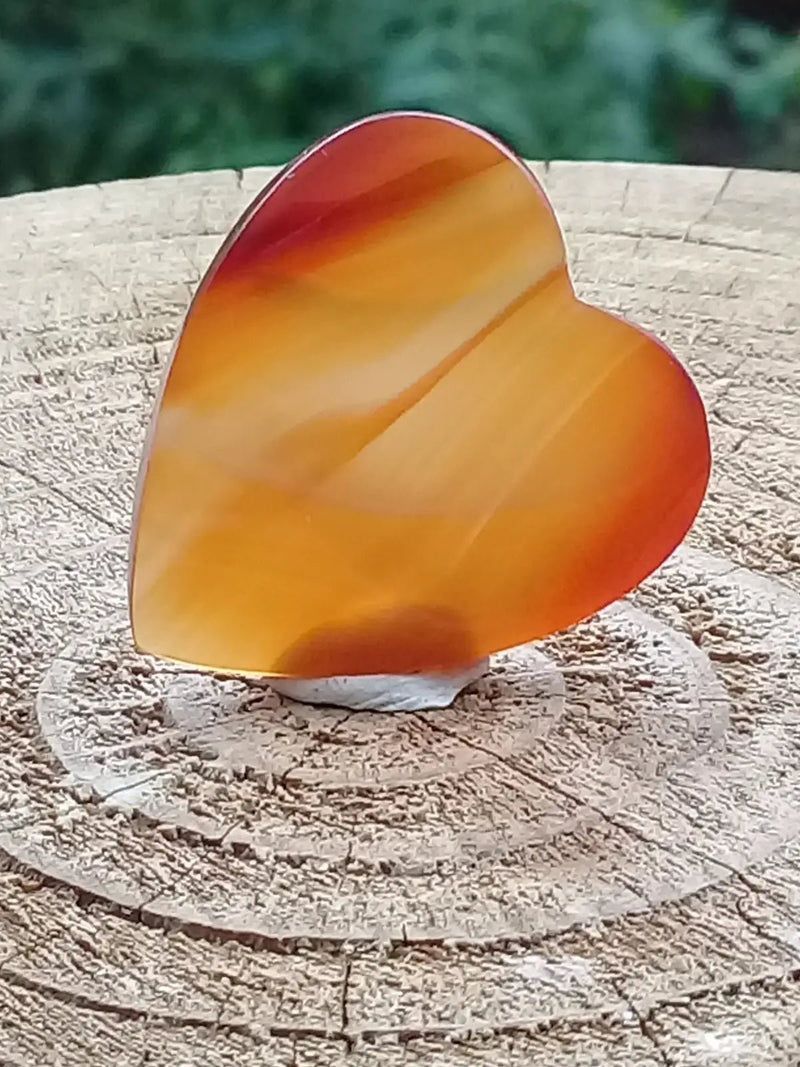 Chargez l&#39;image dans la visionneuse de la galerie, Sardoine Médiator guitare Grade A++++ Sardoine Médiator guitare
